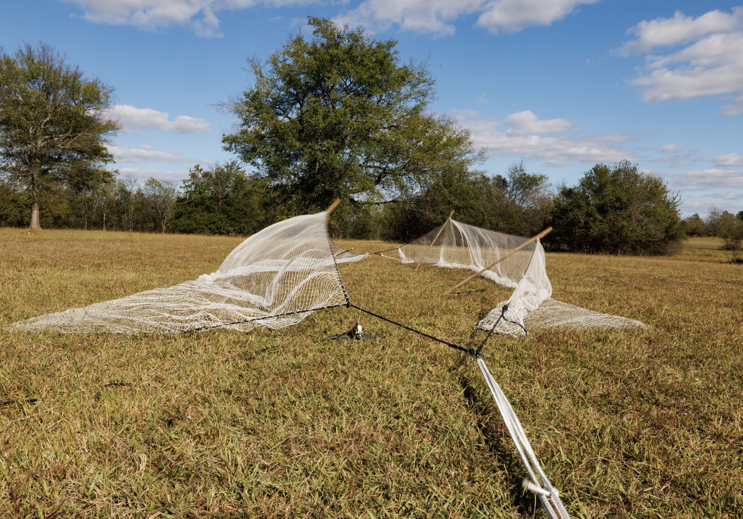 WildlifeDominion_BirdTrap_NoCrop_Smaller_014